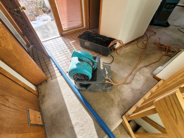 Best 24-hour water damage restoration  in Edmundson, MO