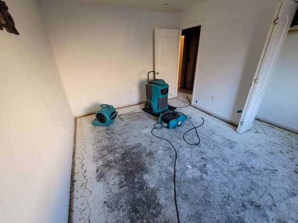 Best Water damage cleanup near me  in Edmundson, MO