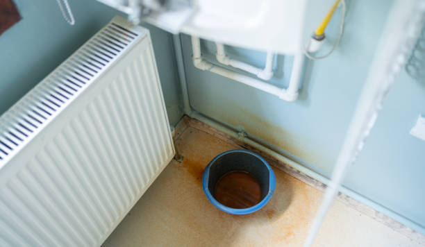 Best Ceiling water damage repair  in Edmundson, MO