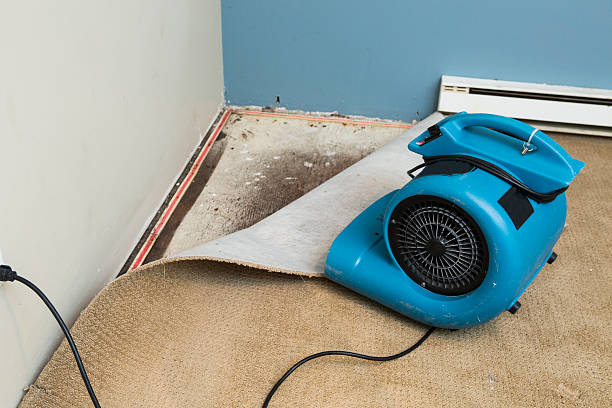Best Sewage cleanup and water damage restoration  in Edmundson, MO